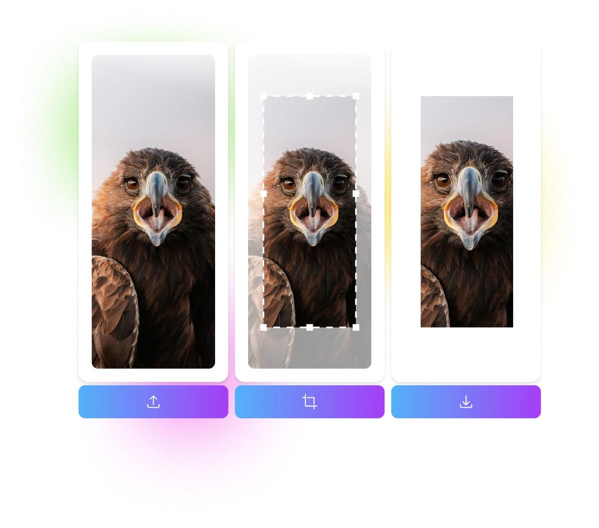 Bewerken in slechts een paar stappen.