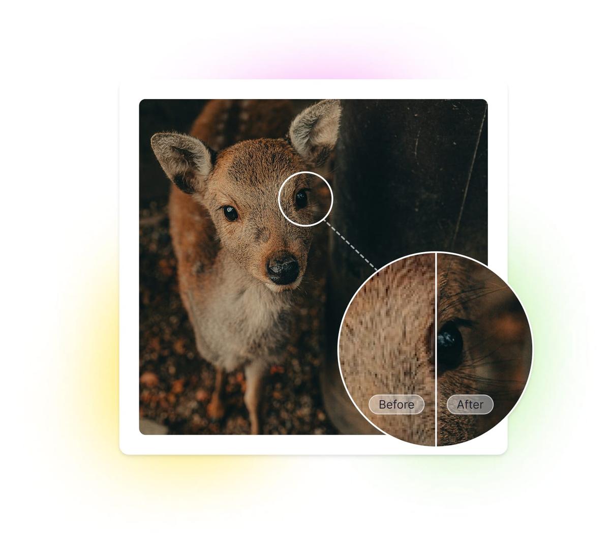 Forstørr bilde uten å miste kvalitet.