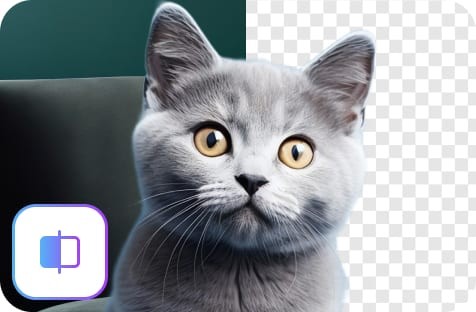 Let the Magic Happen